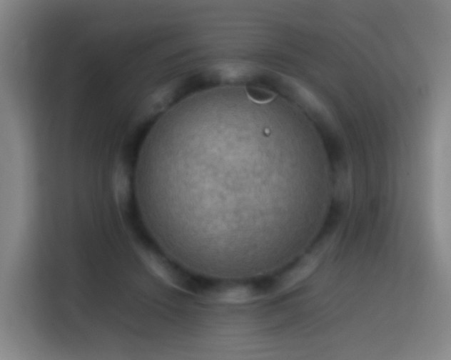 X0000113780456200909301153