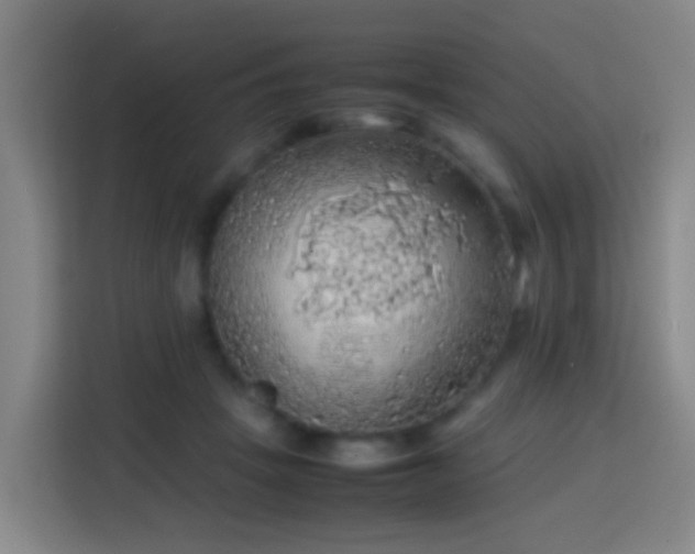 X0000113780457200909301153