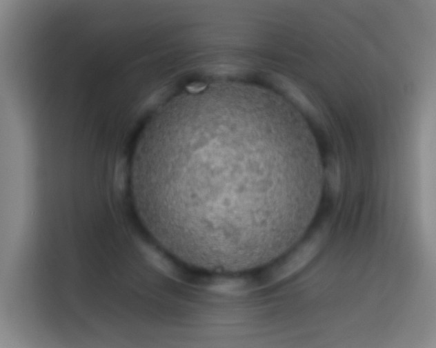 X0000113780458200909301153