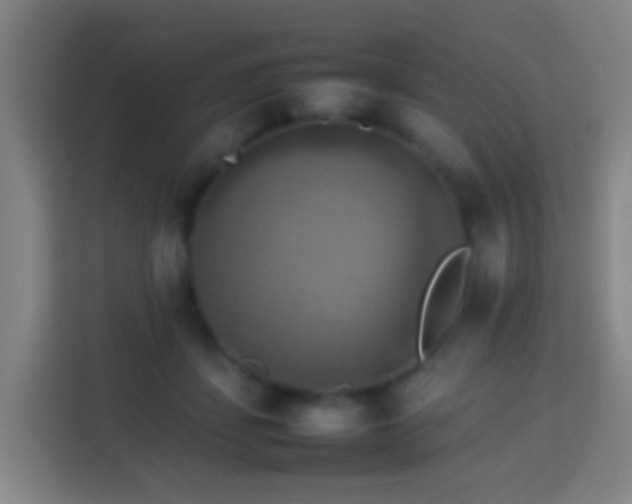 X0000113780459200909301153