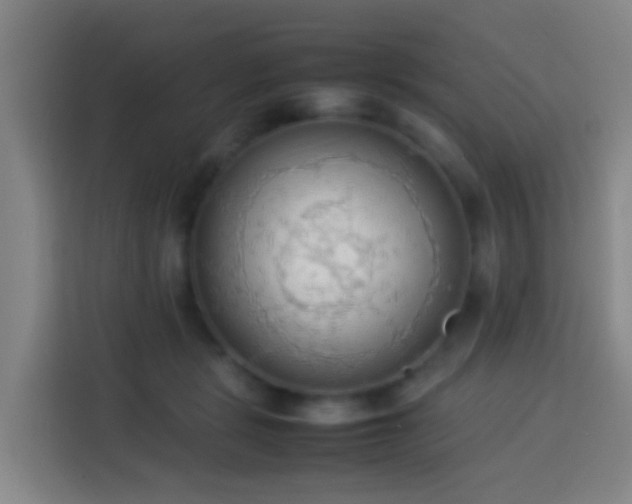 X0000113780461200909301153