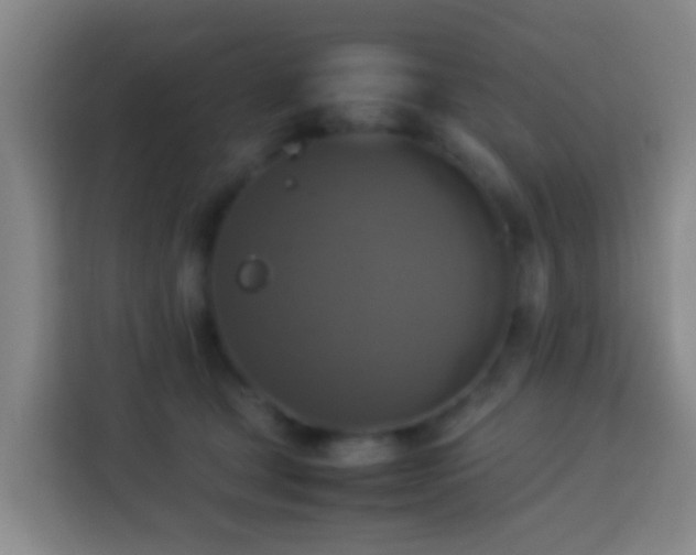 X0000113780465200909301153