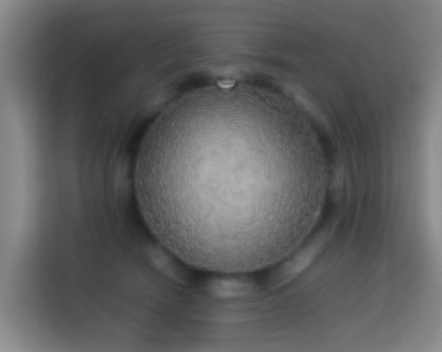 X0000113780466200909301153