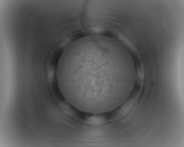 X0000113780468200909301153