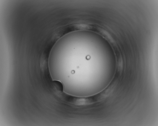 X0000113780473200909301153