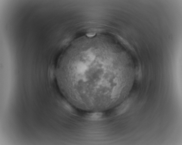 X0000113780474200909301153