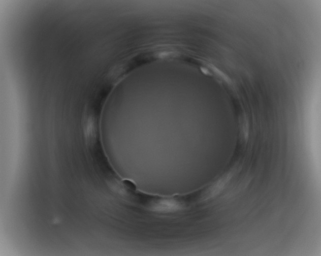 X0000113780475200909301153