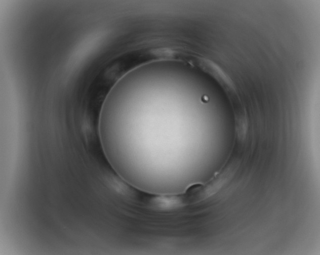 X0000113780477200909301153