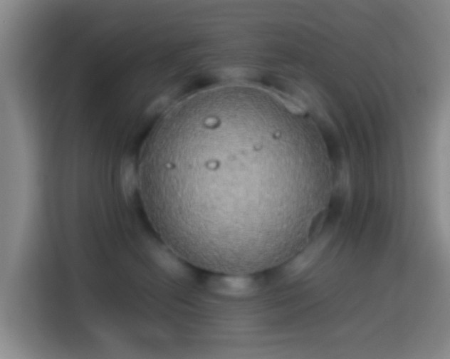 X0000113780478200909301153