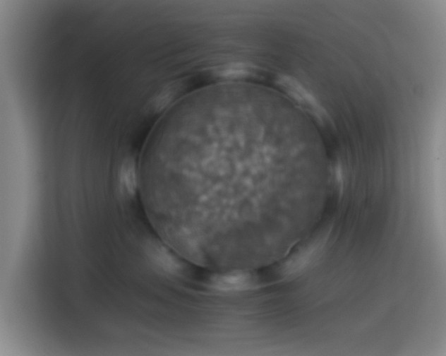 X0000113780479200909301153