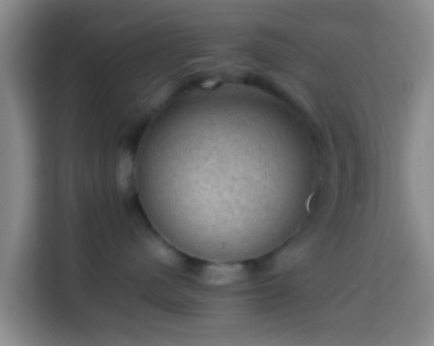 X0000113780480200909301153