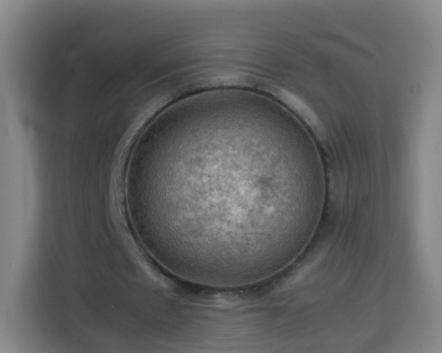 X0000113780481200909301152