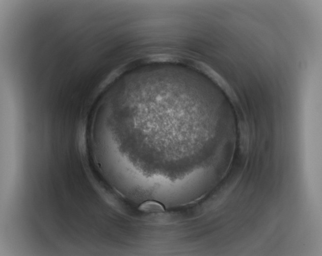 X0000113780482200909301152