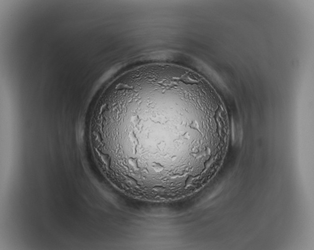 X0000113780483200909301152