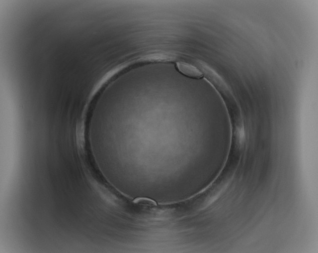 X0000113780484200909301152