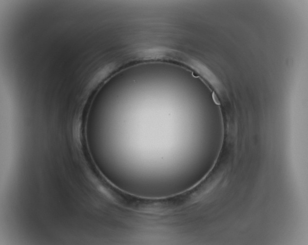 X0000113780485200909301152