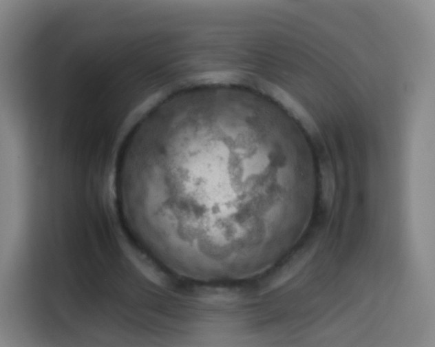 X0000113780486200909301152