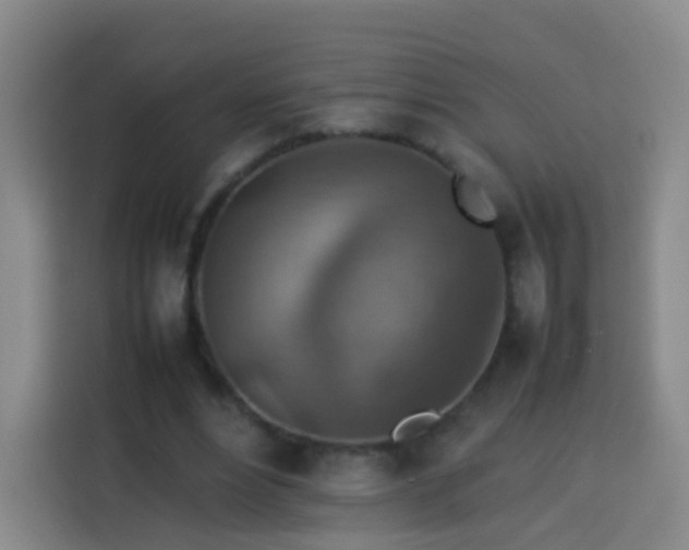 X0000113780488200909301152