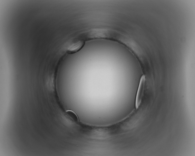 X0000113780489200909301152