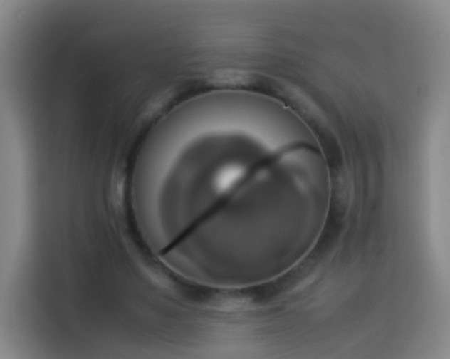 X0000113780491200909301152