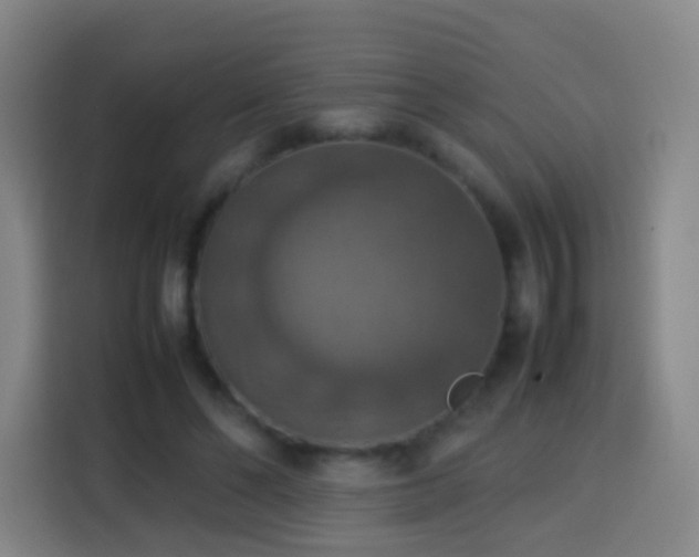 X0000113780494200909301152