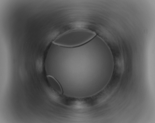 X0000113780496200909301152