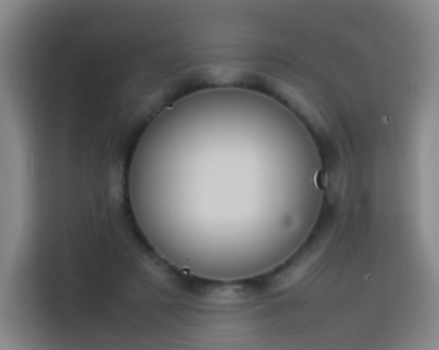 X0000113780497200909301152