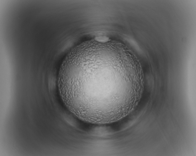 X0000113780499200909301152