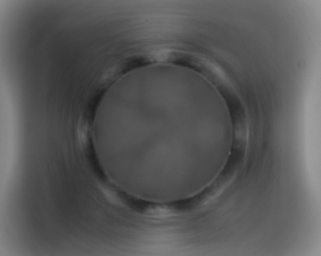 X0000113780503200909301152