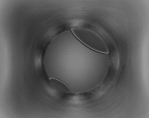 X0000113780504200909301152