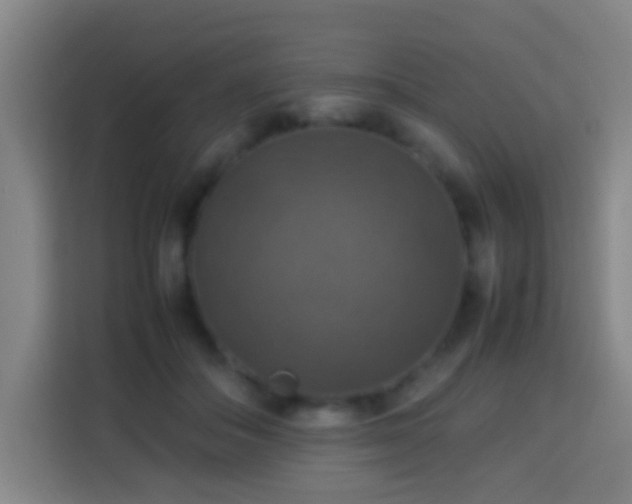 X0000113780506200909301152