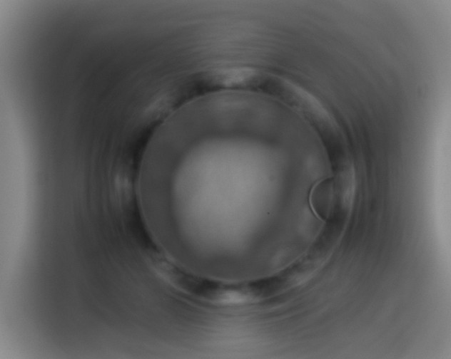 X0000113780510200909301152