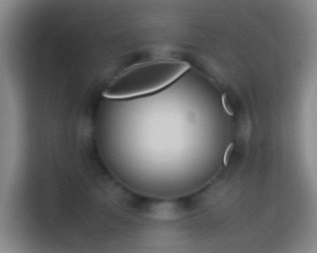 X0000113780513200909301152