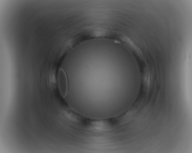 X0000113780516200909301152