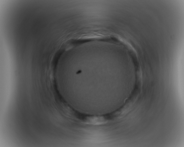 X0000113780517200909301152