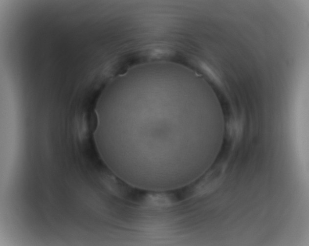 X0000113780520200909301152