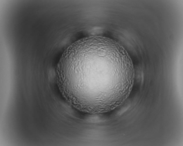 X0000113780523200909301152