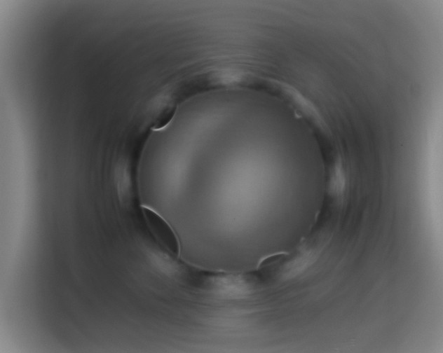 X0000113780524200909301152