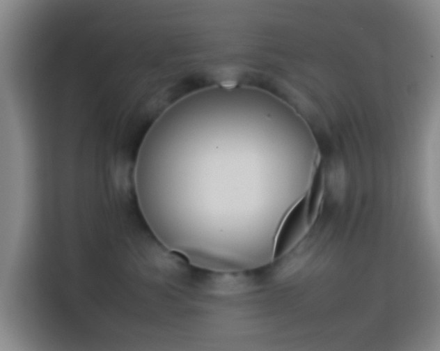 X0000113780525200909301152