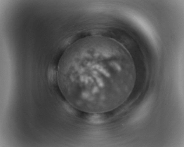 X0000113780527200909301152