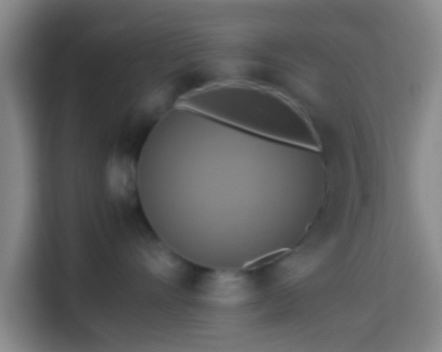 X0000113780528200909301152