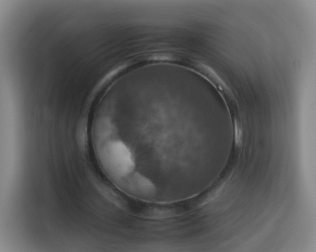 X0000113780531200909301151