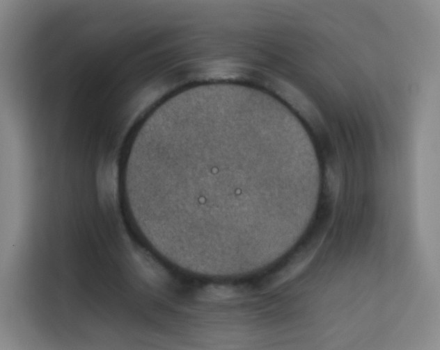 X0000113780534200909301151