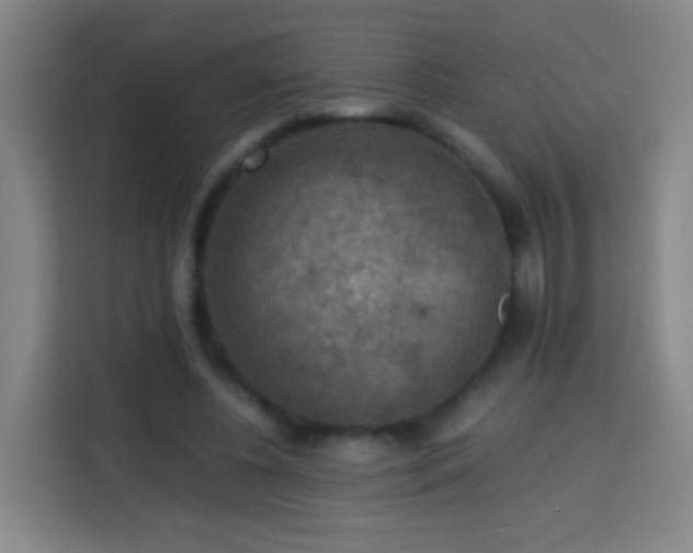 X0000113780540200909301151