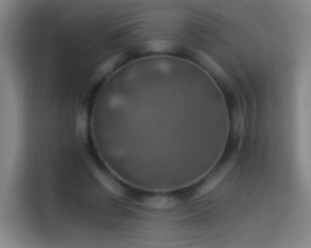 X0000113780542200909301151