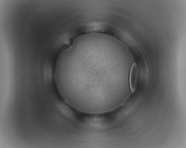 X0000113780546200909301151