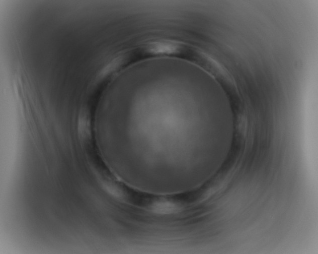 X0000113780547200909301151