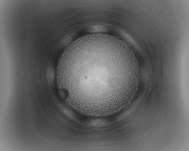 X0000113780549200909301151