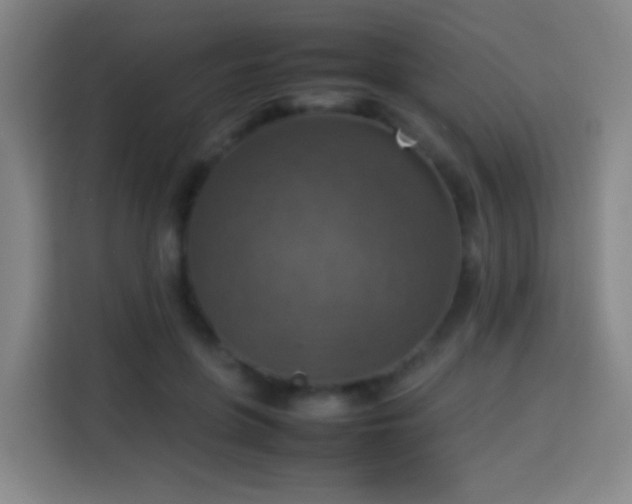 X0000113780551200909301152