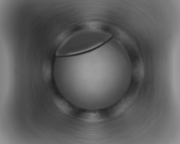 X0000113780552200909301152